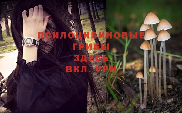 a pvp Новодвинск