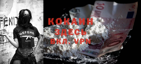 твердый Новозыбков