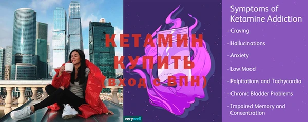 сатива Новокубанск